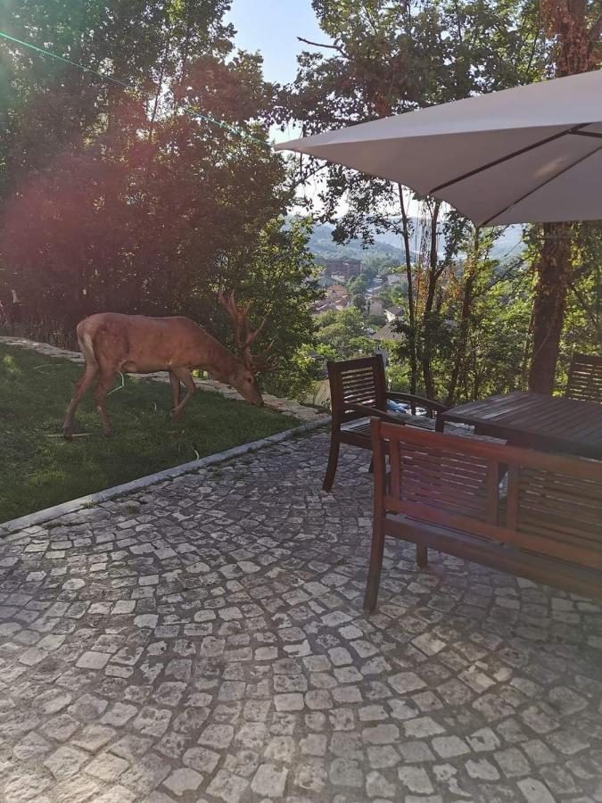 Casa Vacanze Al Castello Villetta Barrea Eksteriør billede