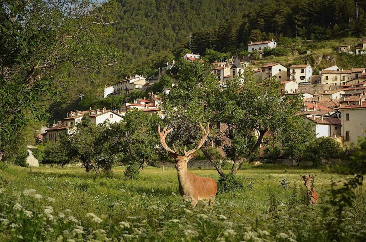 Casa Vacanze Al Castello Villetta Barrea Eksteriør billede